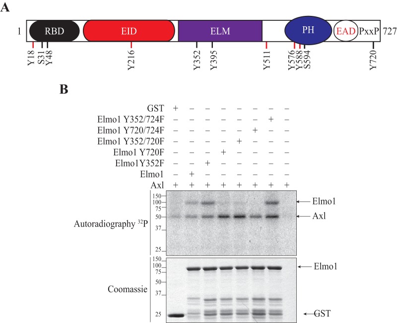 FIG 2