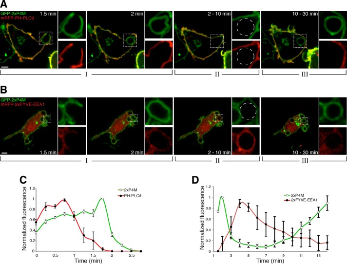 FIGURE 2: