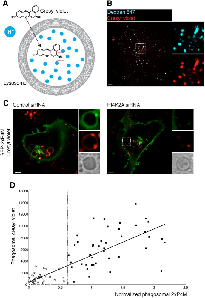 FIGURE 7: