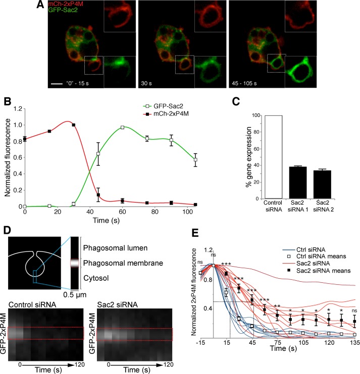 FIGURE 4: