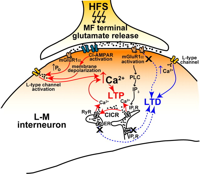 Figure 11.