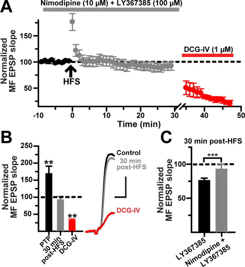 Figure 10.