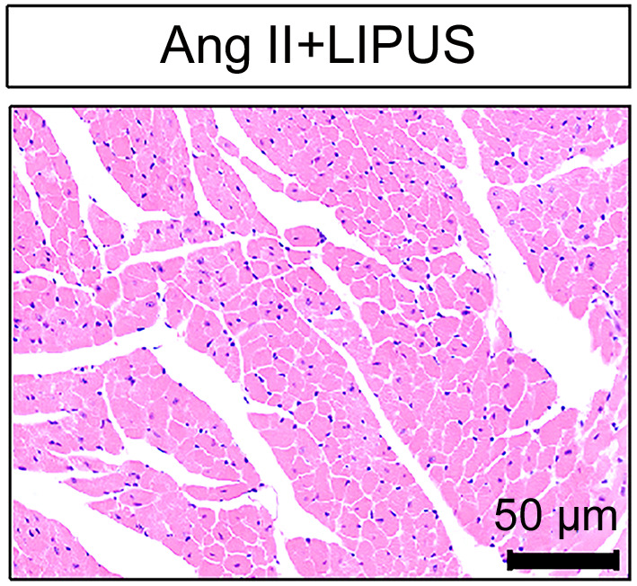 graphic file with name JZhejiangUnivSciB-25-9-800-g001.jpg