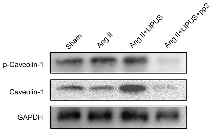 graphic file with name JZhejiangUnivSciB-25-9-800-g002.jpg