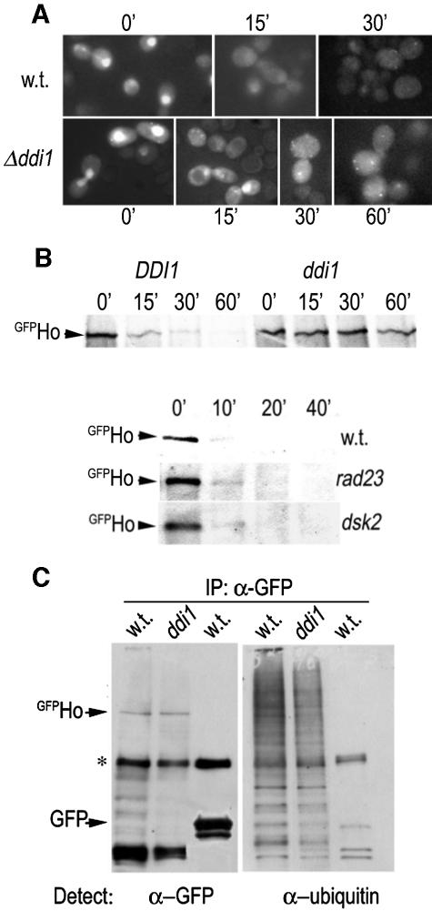 FIG. 7.