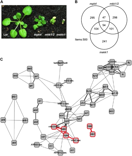 Figure 6.