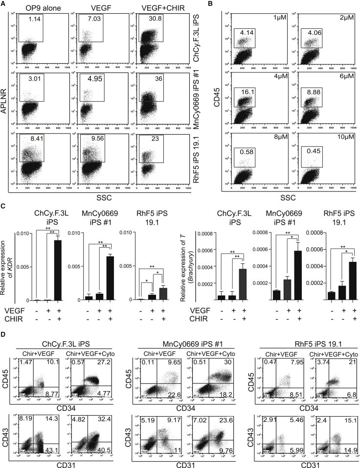 Figure 2