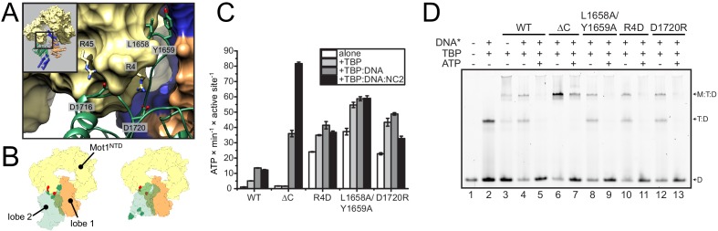 Figure 2.