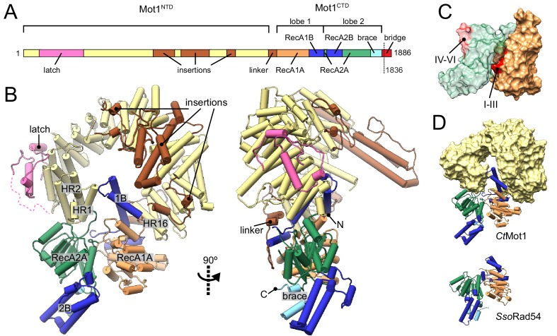 Figure 1.