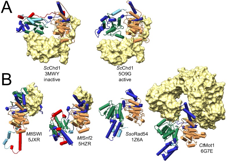 Figure 1—figure supplement 1.