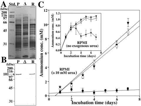 FIG. 6.