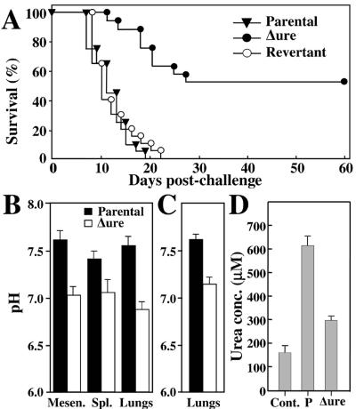 FIG. 7.