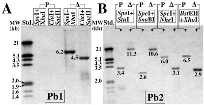 FIG. 5.