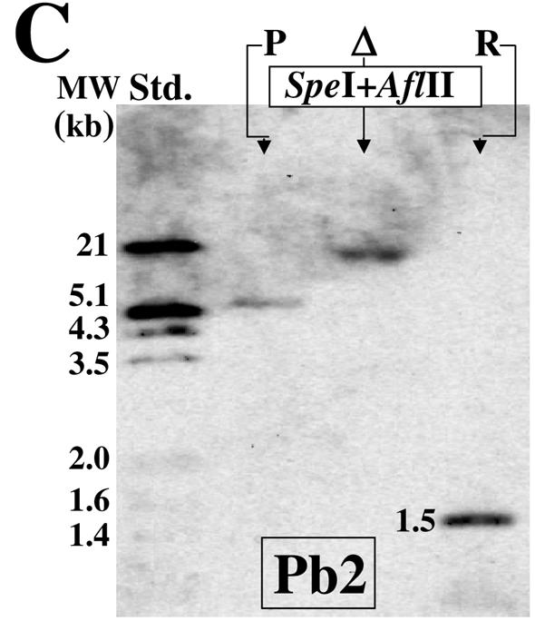 FIG. 5.