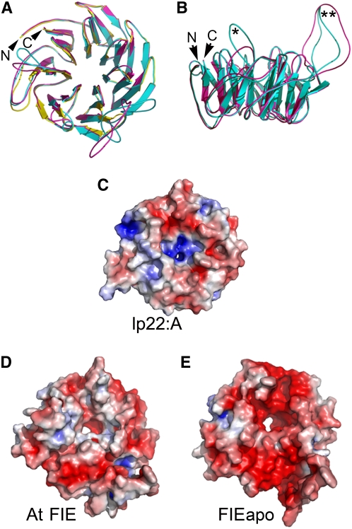 Figure 5.