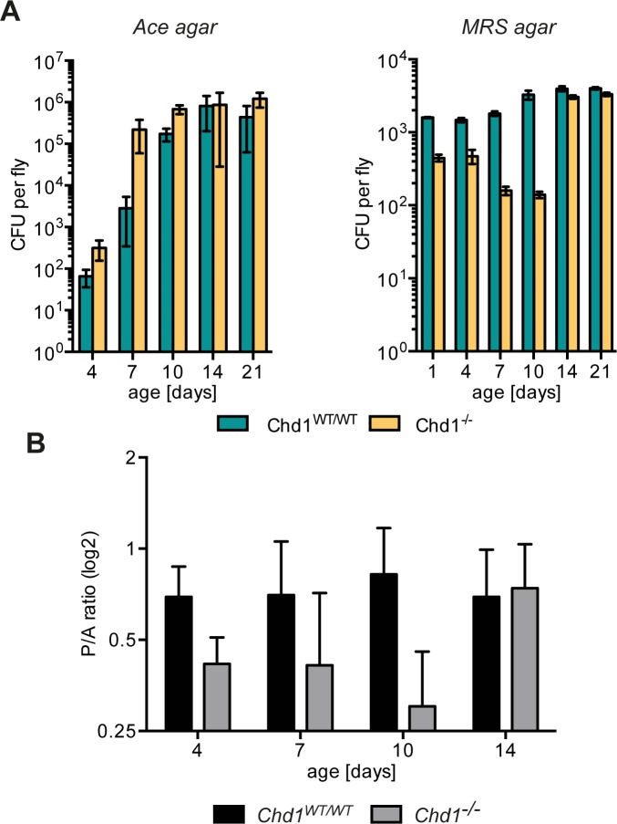 Fig 3