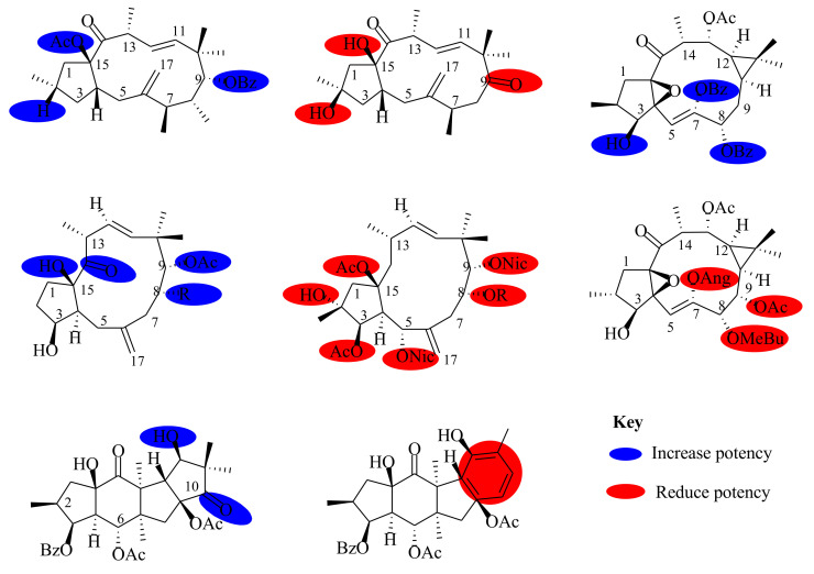 Figure 17