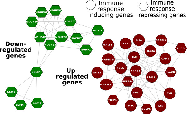 Figure 4