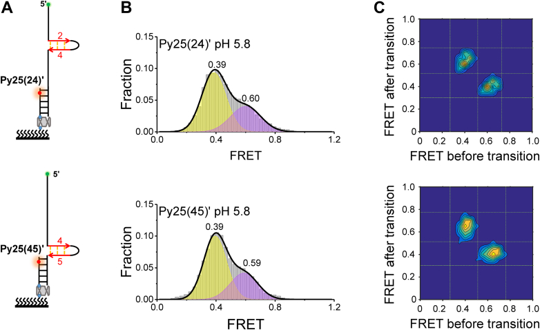 Figure 7