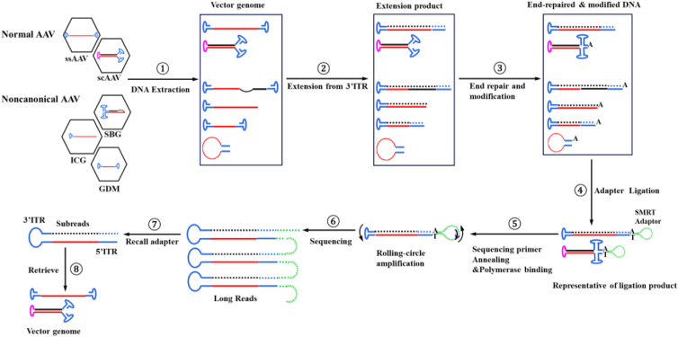 Figure 1