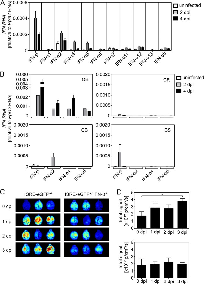 FIG 3