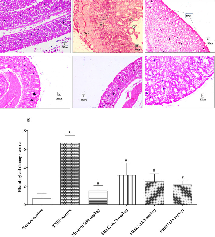 ﻿Fig. 6