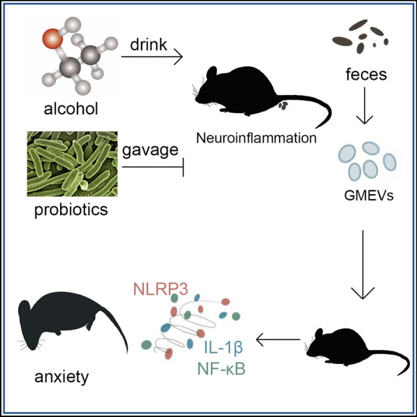 graphic file with name 12951_2024_3017_Figa_HTML.jpg