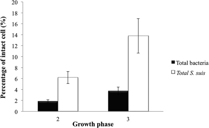 FIG 6