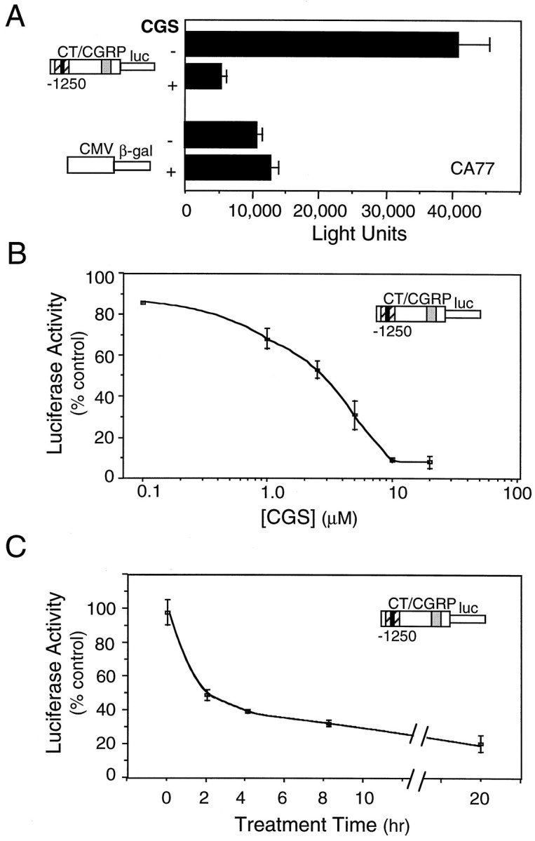 Fig. 5.