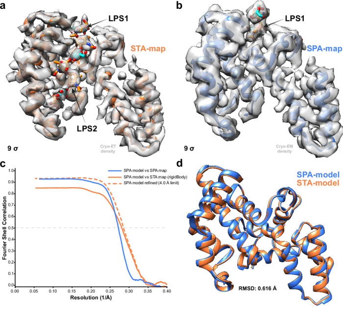 Figure 2—figure supplement 1.