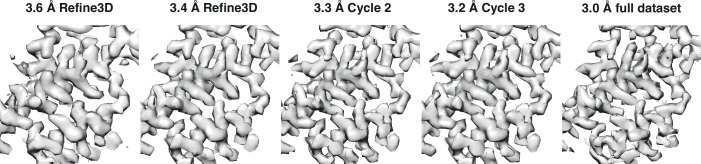 Figure 1—figure supplement 1.