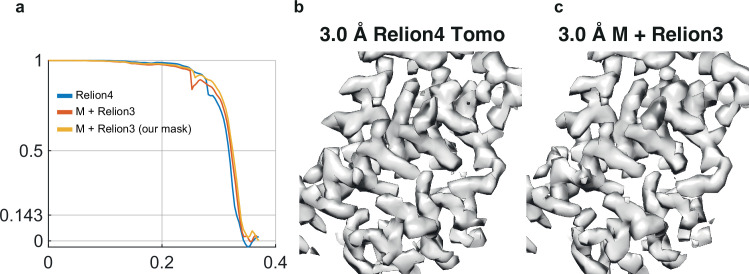 Figure 1—figure supplement 3.