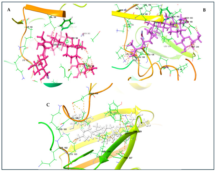 Figure 5