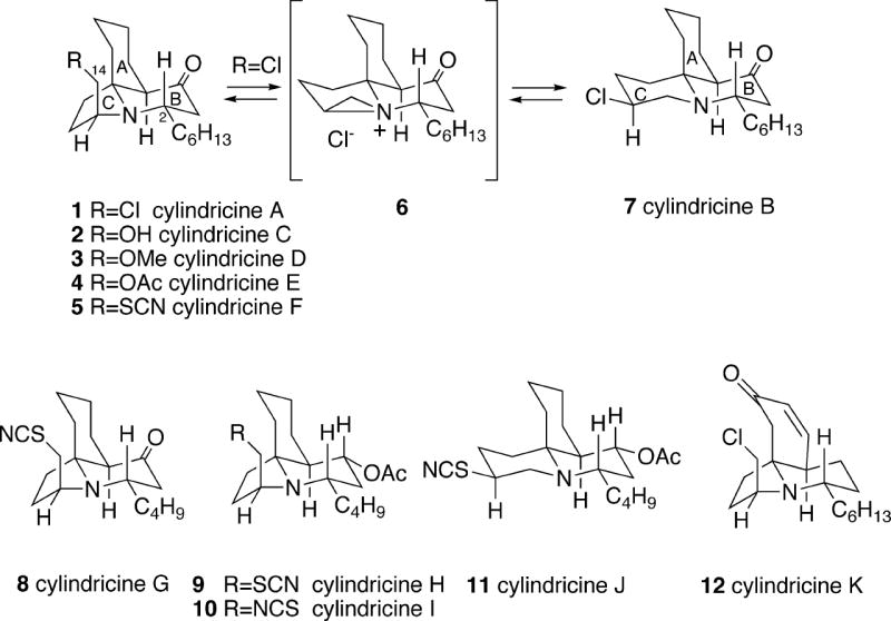 FIGURE 1