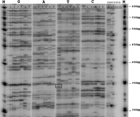 Fig. 3