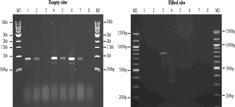 Fig. 5