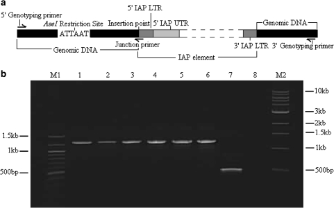 Fig. 6