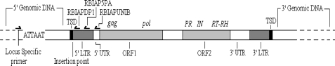 Fig. 1