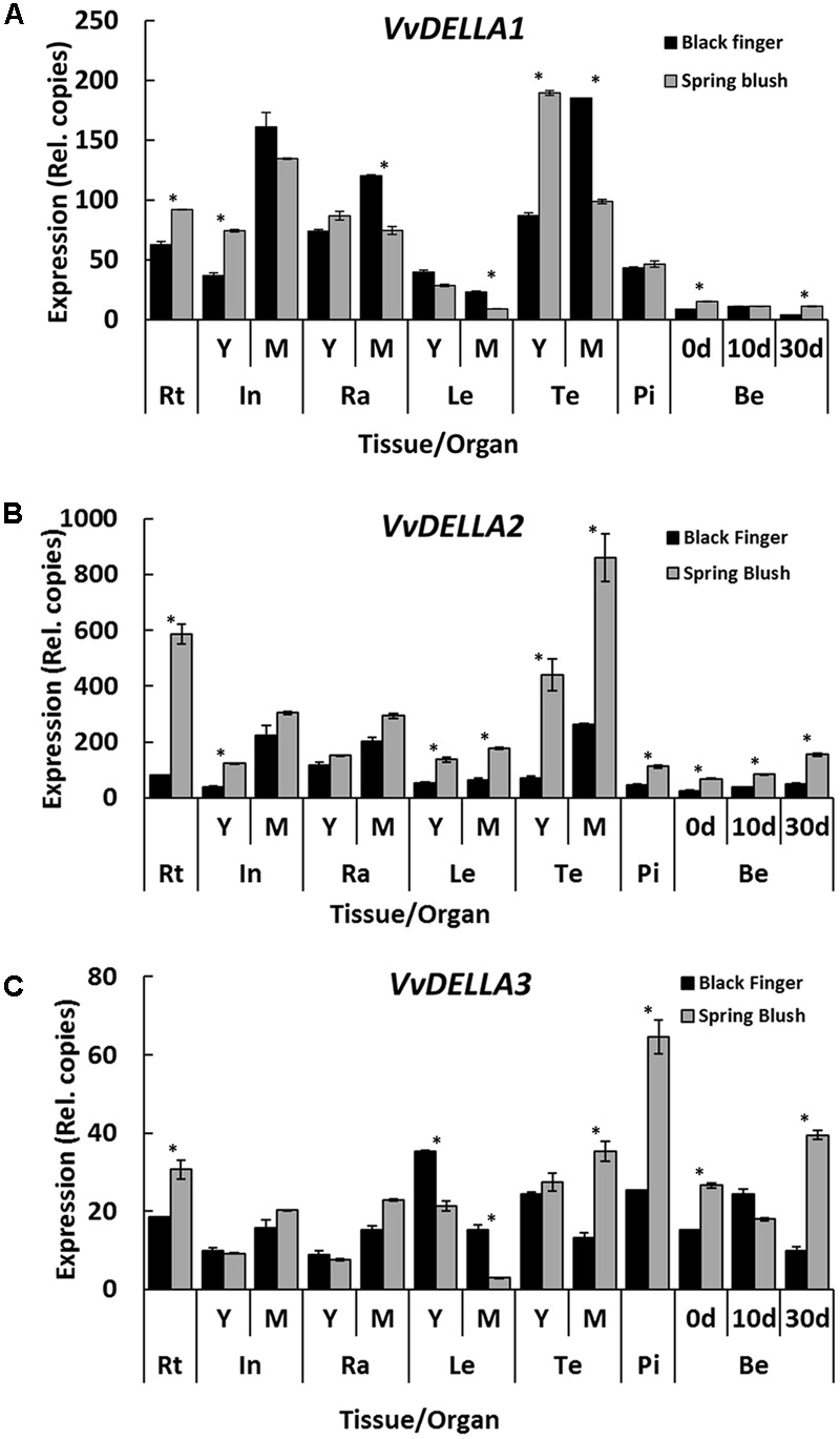 FIGURE 3