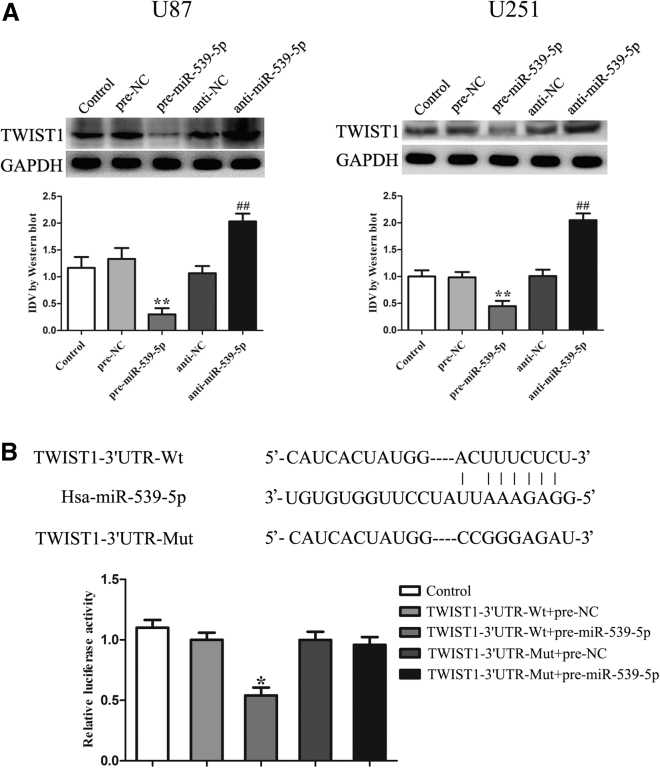 Figure 6