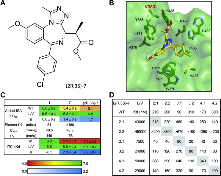 Fig. 6