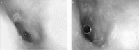 Figure 1, a, b