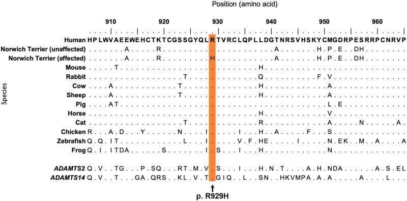 Fig 5