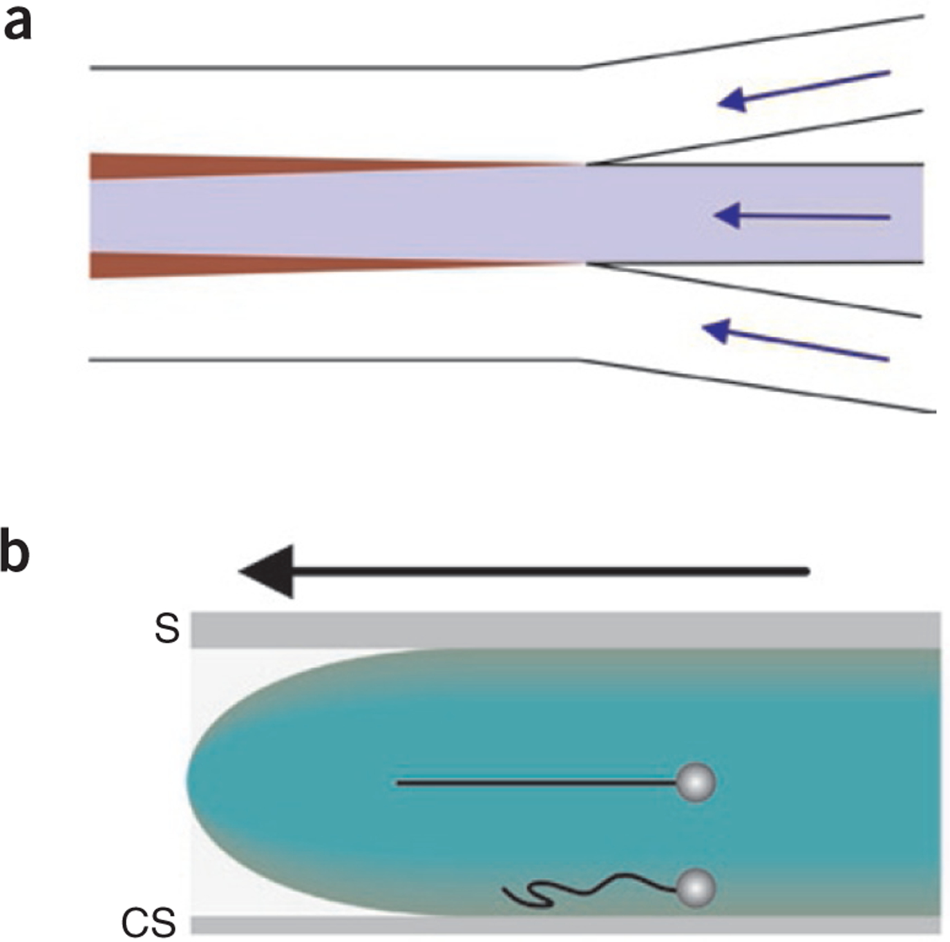 Figure 1 |