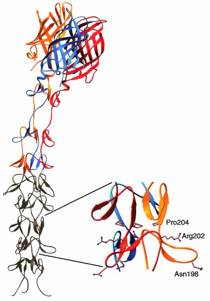 FIG. 1.