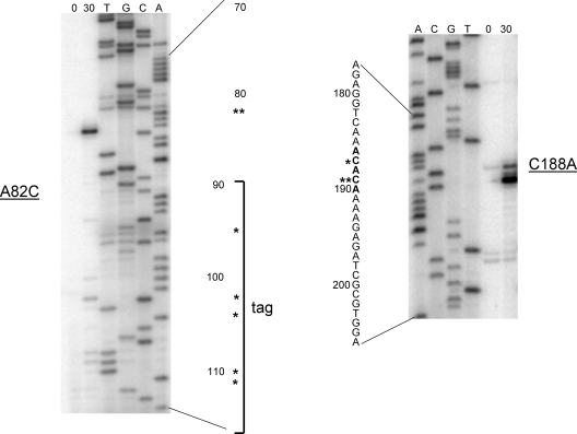 FIG. 7.