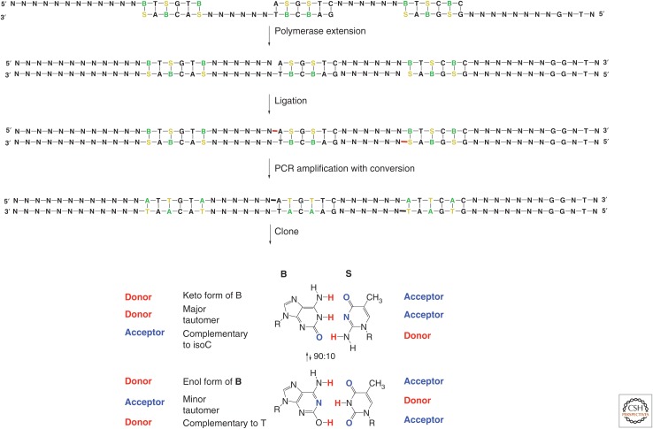 Figure 13.