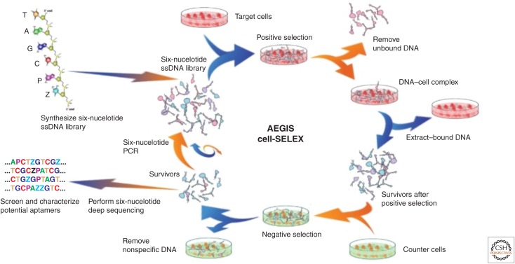 Figure 14.