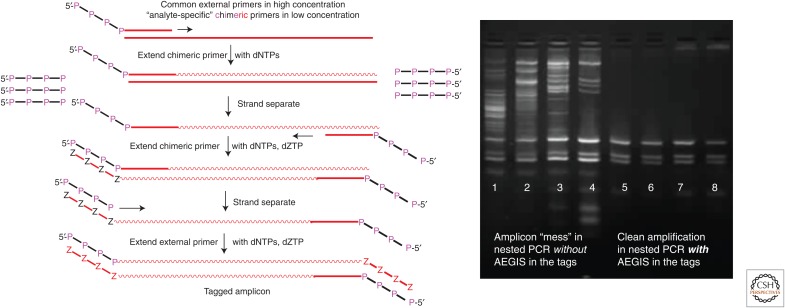 Figure 11.