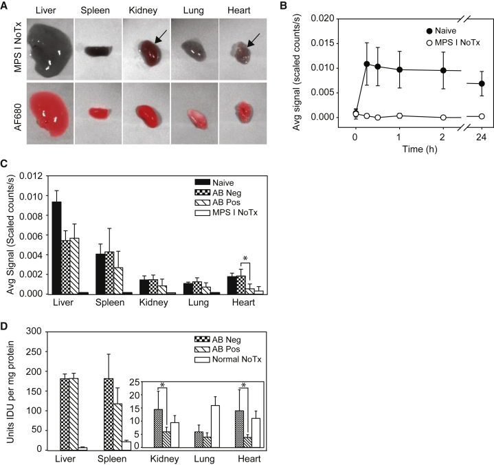 Figure 1